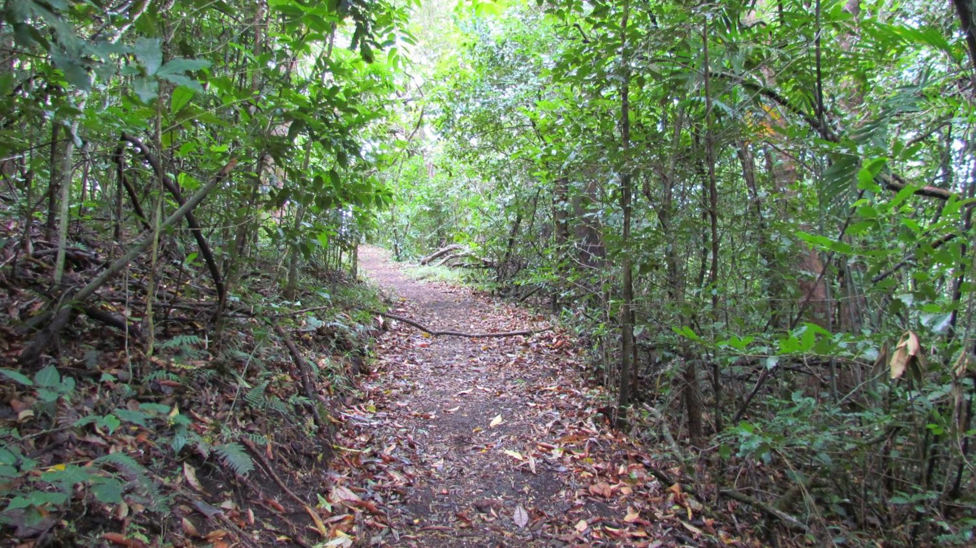 Santuario Ecologico Monteverde Esterno foto