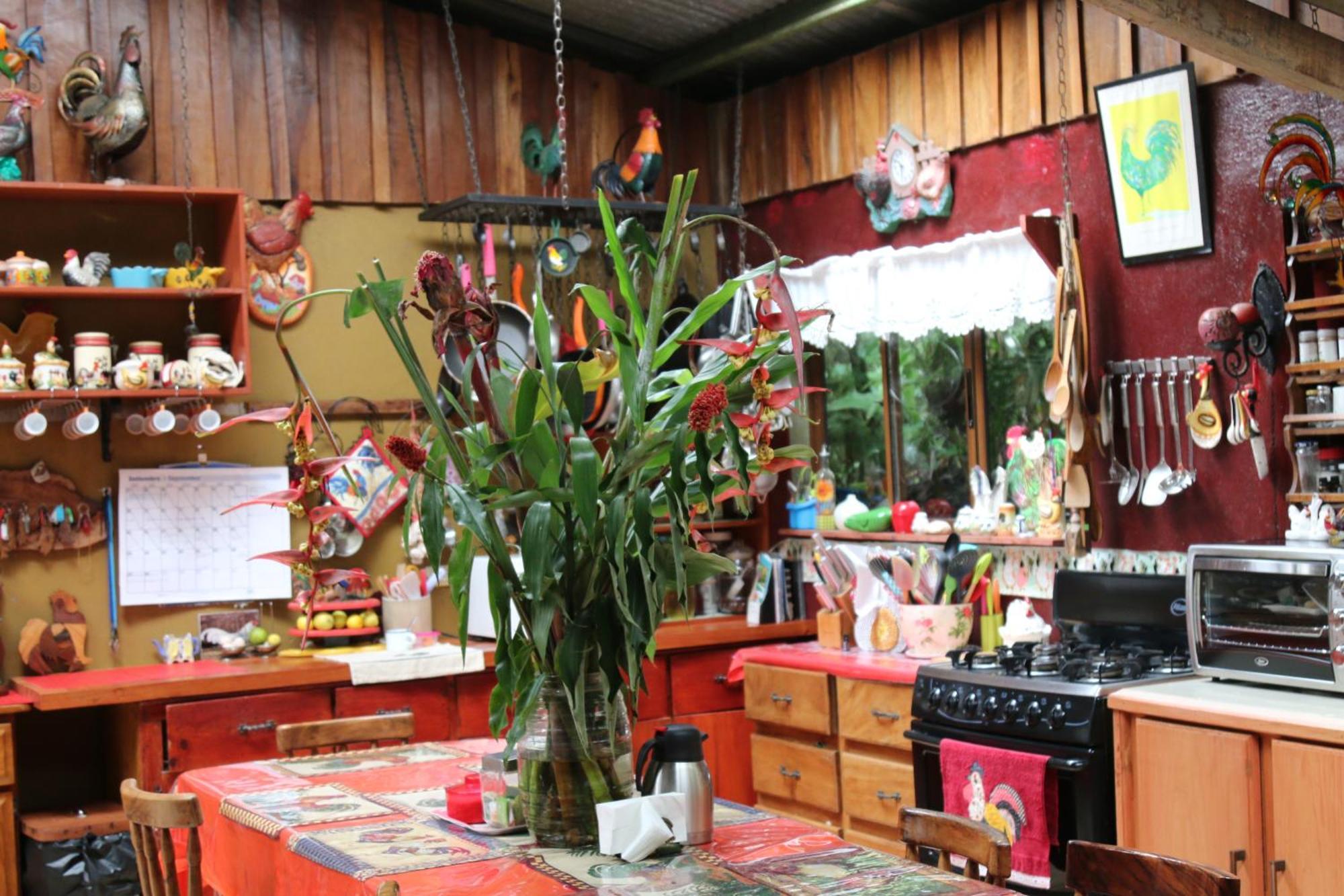 Santuario Ecologico Monteverde Esterno foto