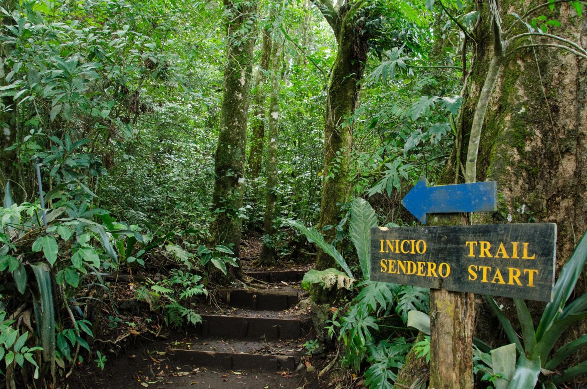 Santuario Ecologico Monteverde Esterno foto