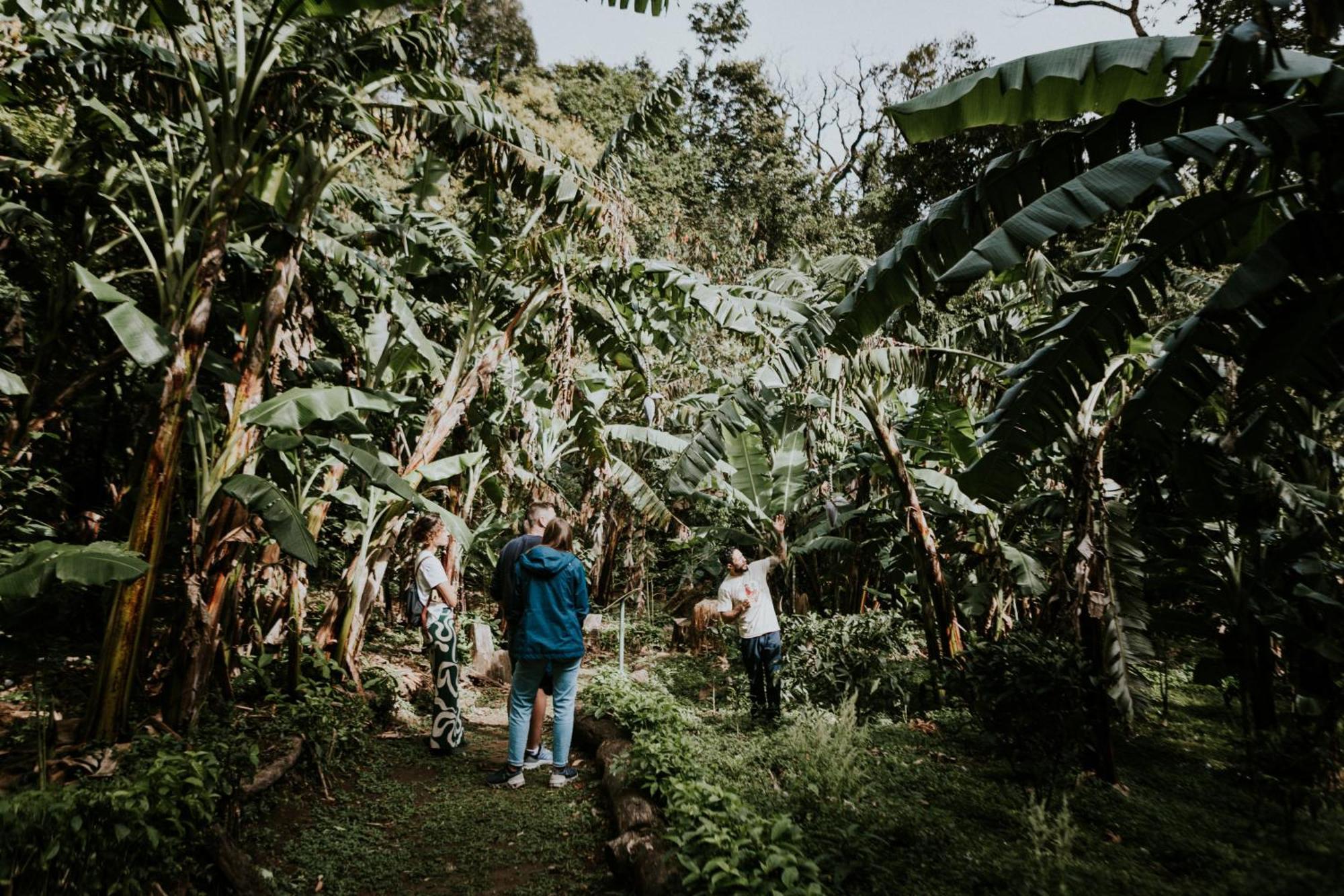 Santuario Ecologico Monteverde Esterno foto